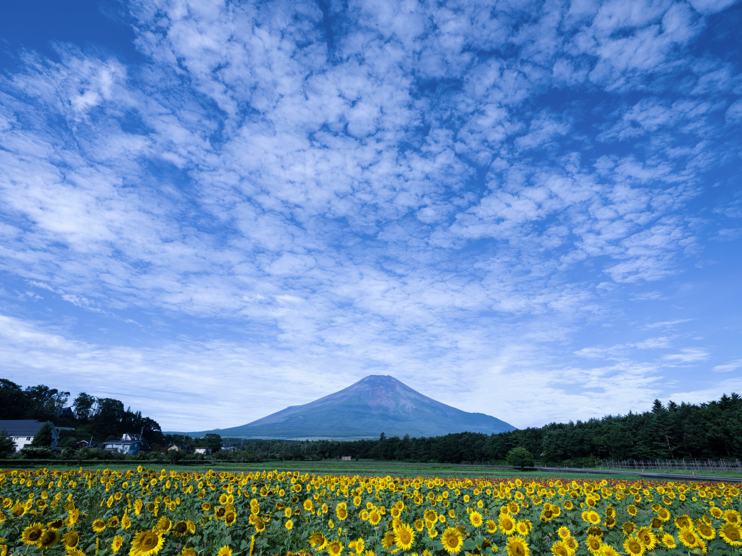 いい風景写真がが撮れるようになりたい！